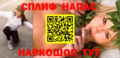 гидра Будённовск