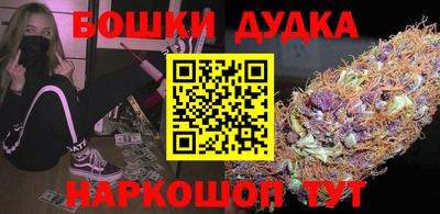 гидра Будённовск
