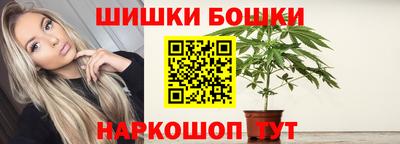 гидра Будённовск