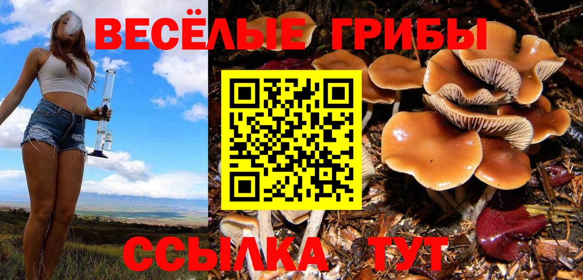 Саров  Галлюциногенные грибы прущие грибы  Вход с VPN 